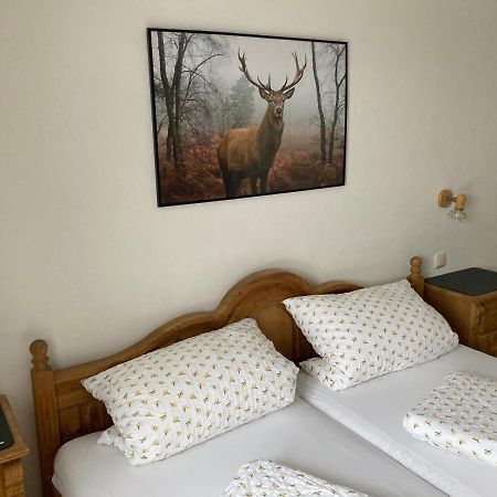 Ferienwohnung Sophia 그라이나우 외부 사진